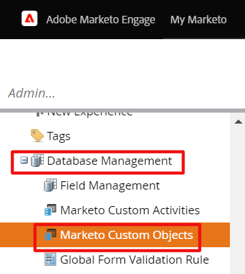 Marketo Custom Objects