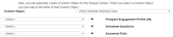 Custom Object Fields