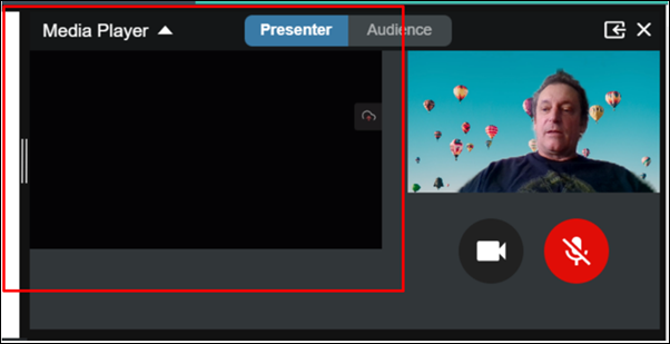 presenter_does_not_display_single