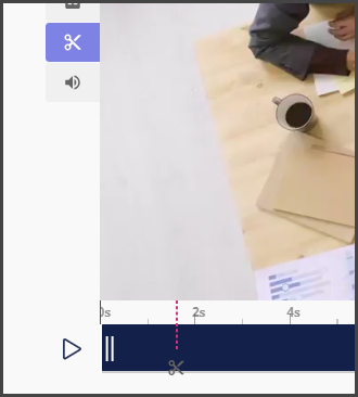 cut video option.png