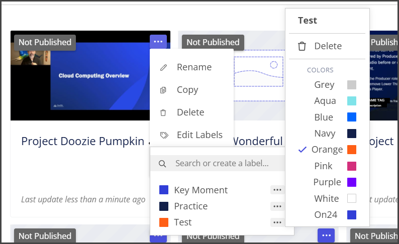 video project label menu.png