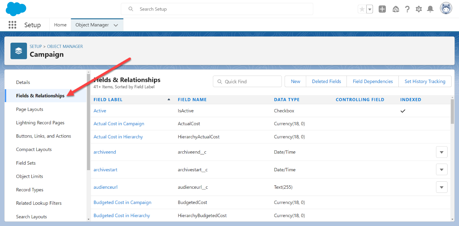 Salesforce Campaign Fields & Relationships