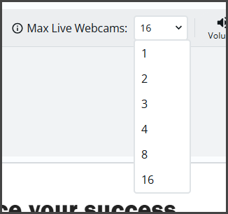 max live webcams.png