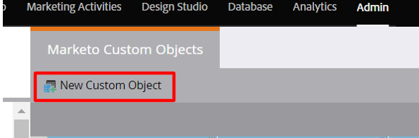 New Custom Object tab