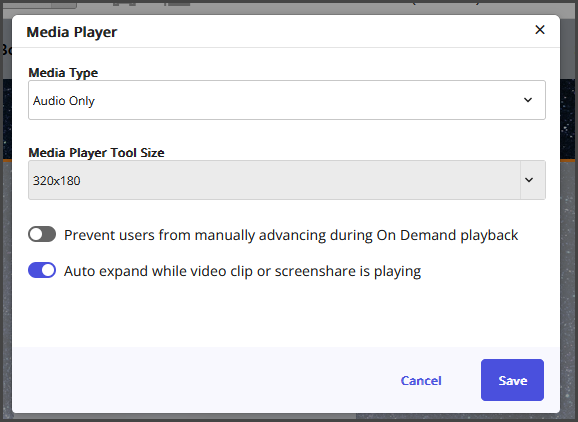 audio only option.png